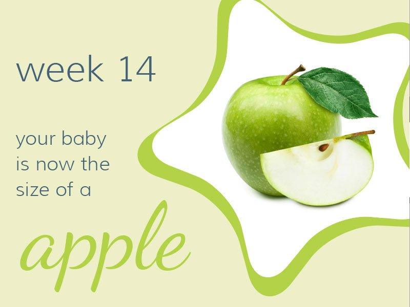 Week 14 - Babysense