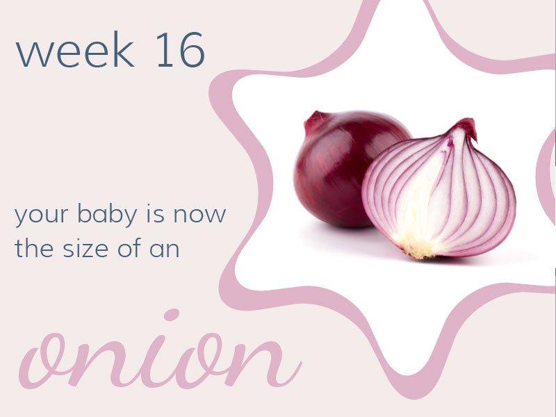 Week 16 - Babysense