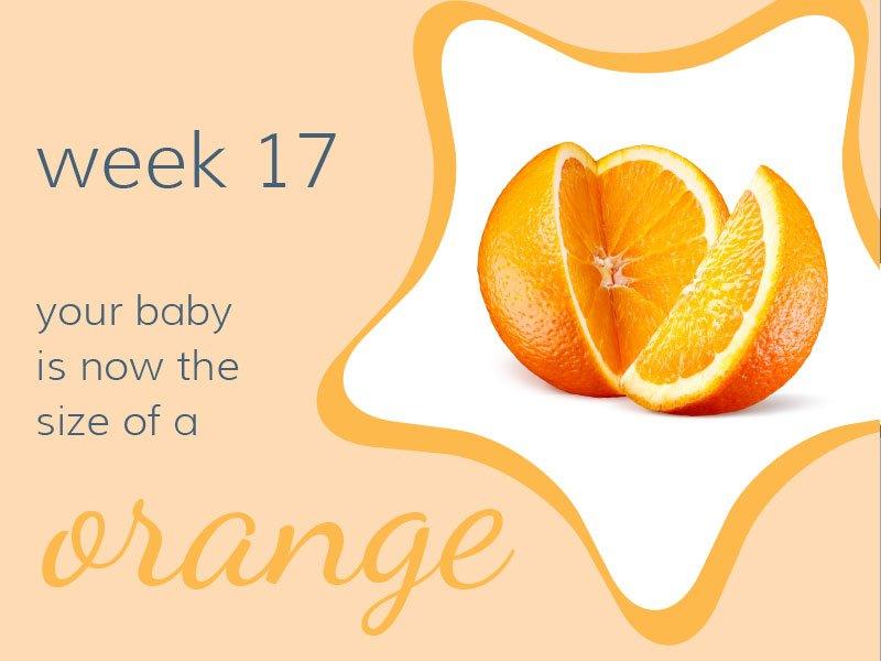 Week 17 - Babysense