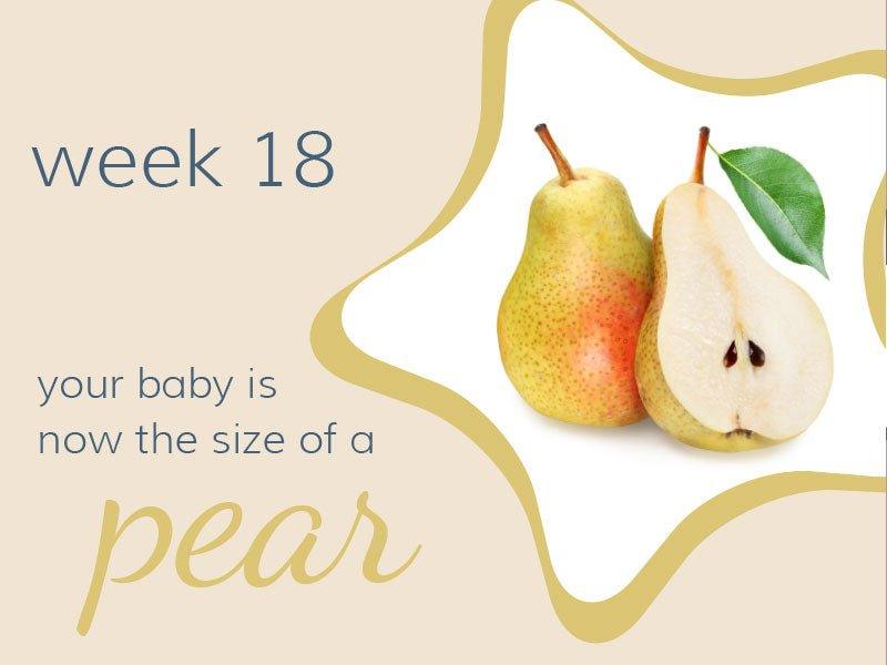 Week 18 - Babysense