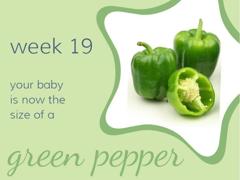 Week 19 - Babysense