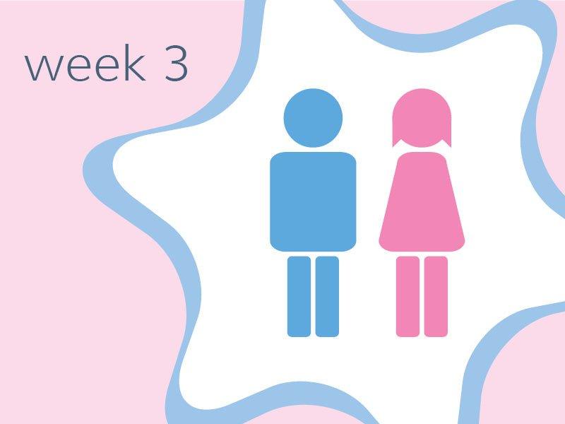 Week 3 - Babysense
