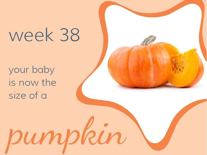 Week 38 - Babysense