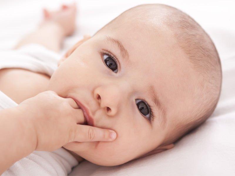 Appropriate finger food for babies and what to avoid - Babysense