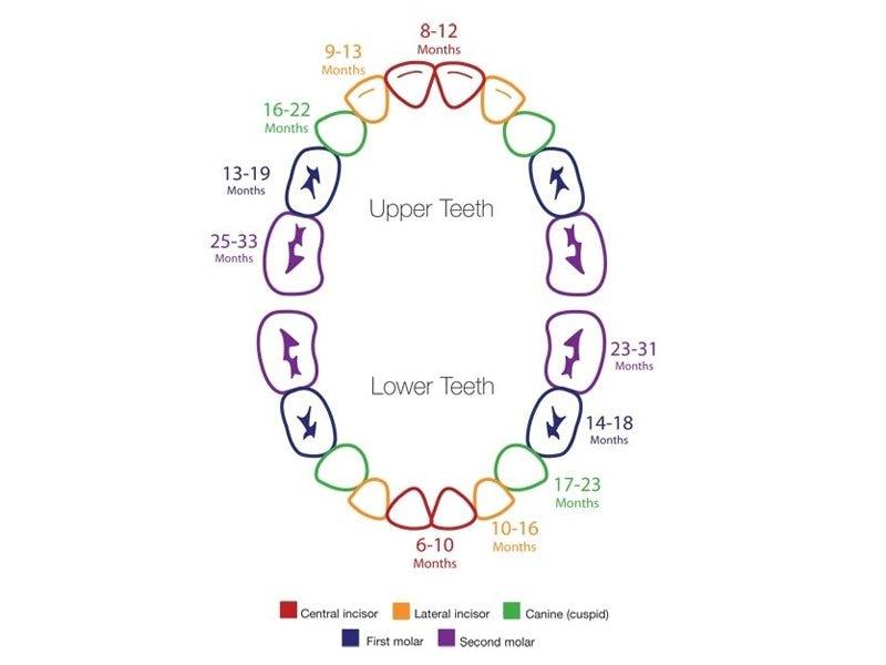 Facts on teething and the effects it has on sleep - Babysense