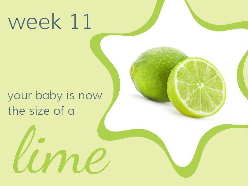 Week 11 - Babysense