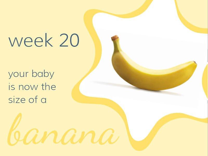Week 20 - Babysense
