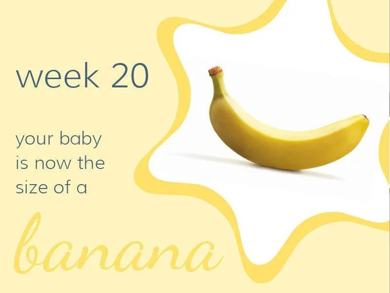 Week 20 - Babysense