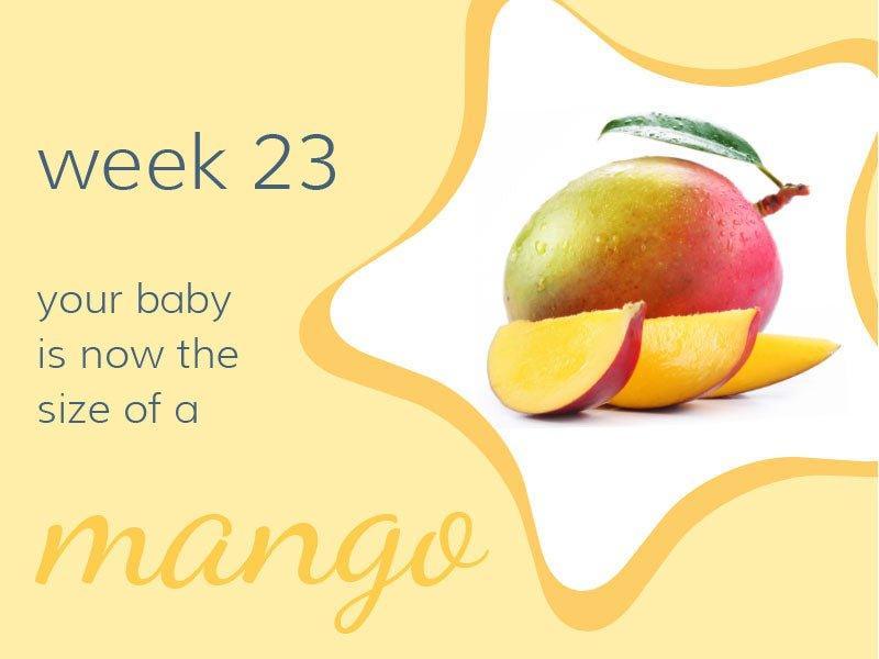 Week 23 - Babysense