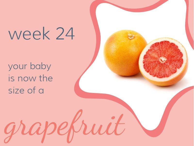 Week 24 - Babysense