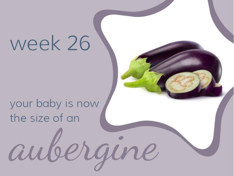 Week 26 - Babysense