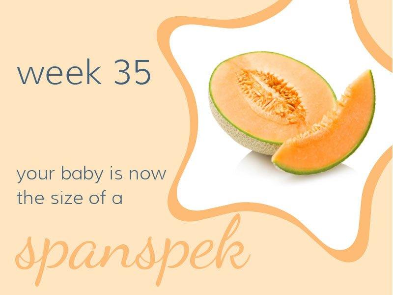 Week 35 - Babysense