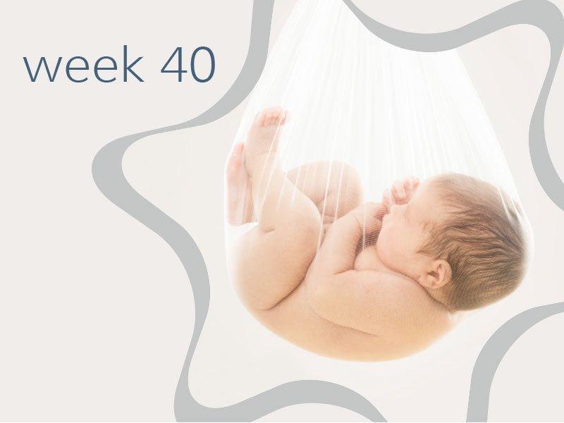 Week 40 - Babysense