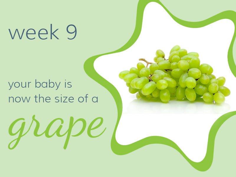 Week 9 - Babysense